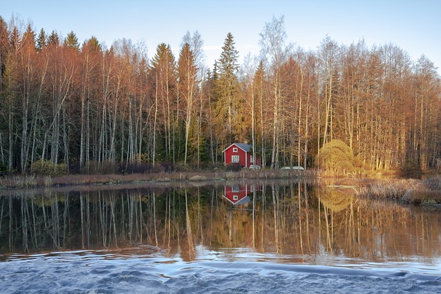 sauna