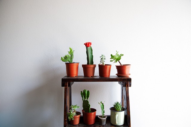indoor