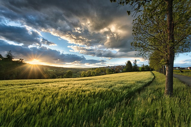 scenery