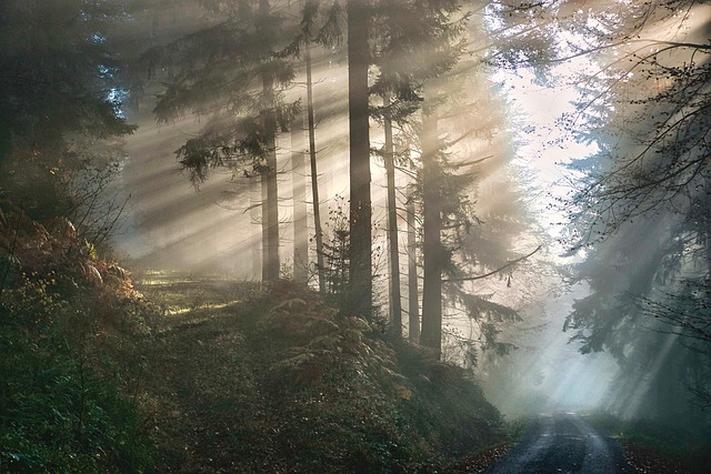 nature