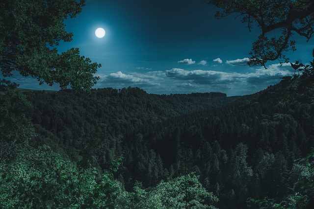 landscape