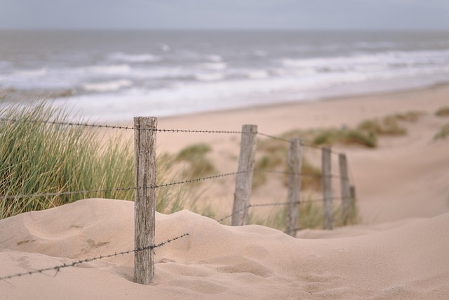 beach